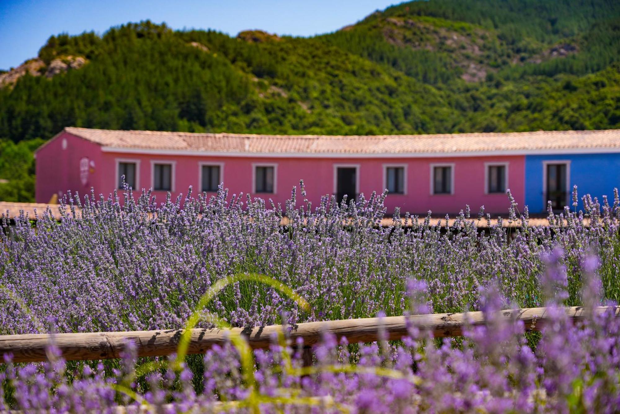 Eco Hotel Orlando Sardegna Villagrande Strisaili Extérieur photo